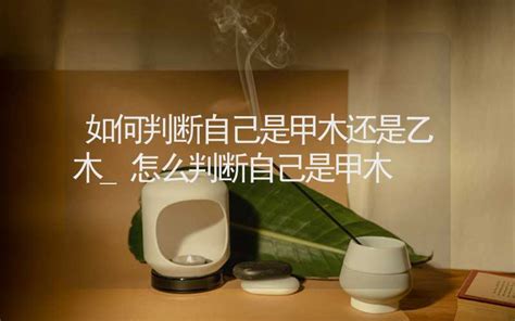 甲木特質|如何判別我是甲木？五行專家教你認清自己